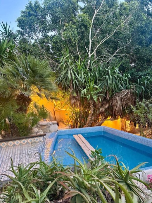 Villa pool in a palm garden