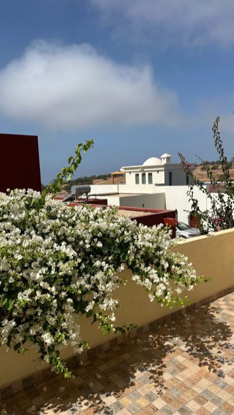 White bougainvillea on the villa terrace