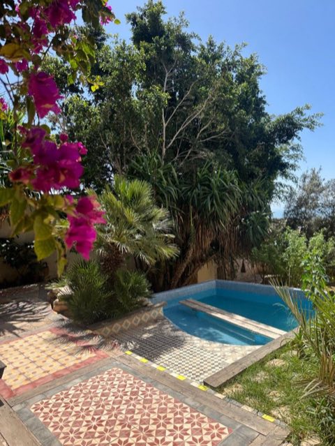 Villa pool in a garden of palms and bougainvillea